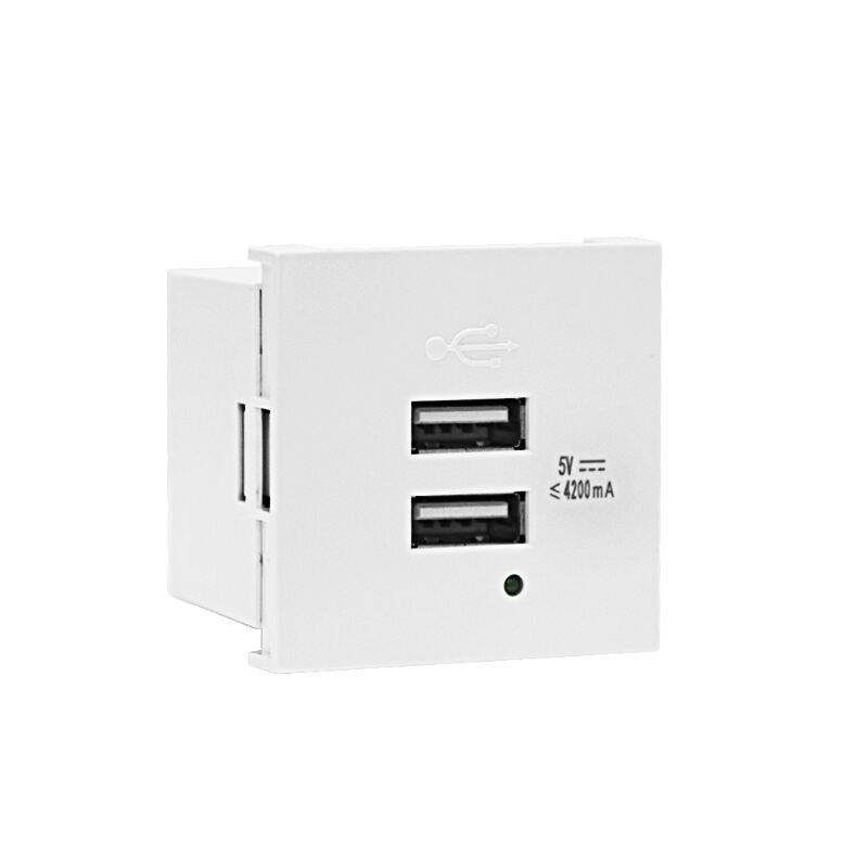 Modulair Soket Dubbele Poort Type A+A 21W (totaal) USB Oplader F21-C3 4.2A