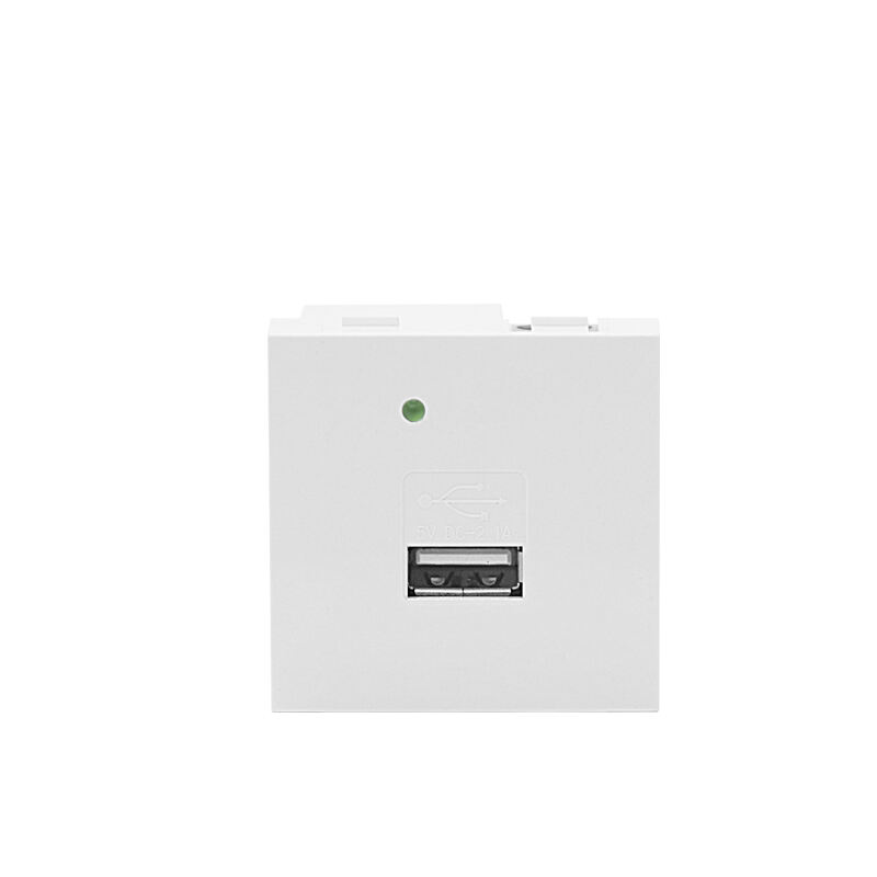 Μοντύλακα Σενδέλισμα Μονό Πόρτα Type A 10.5W φορτιστής USB F21-C5
