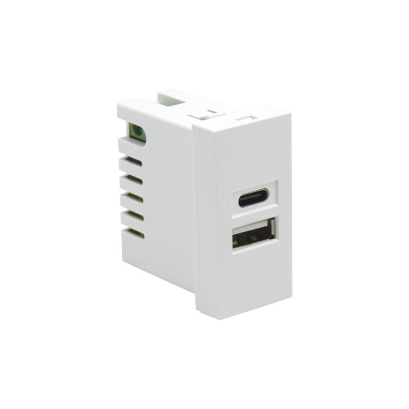 Dubbele Poort Type A+C 10.5W (totaal) F21-C2B