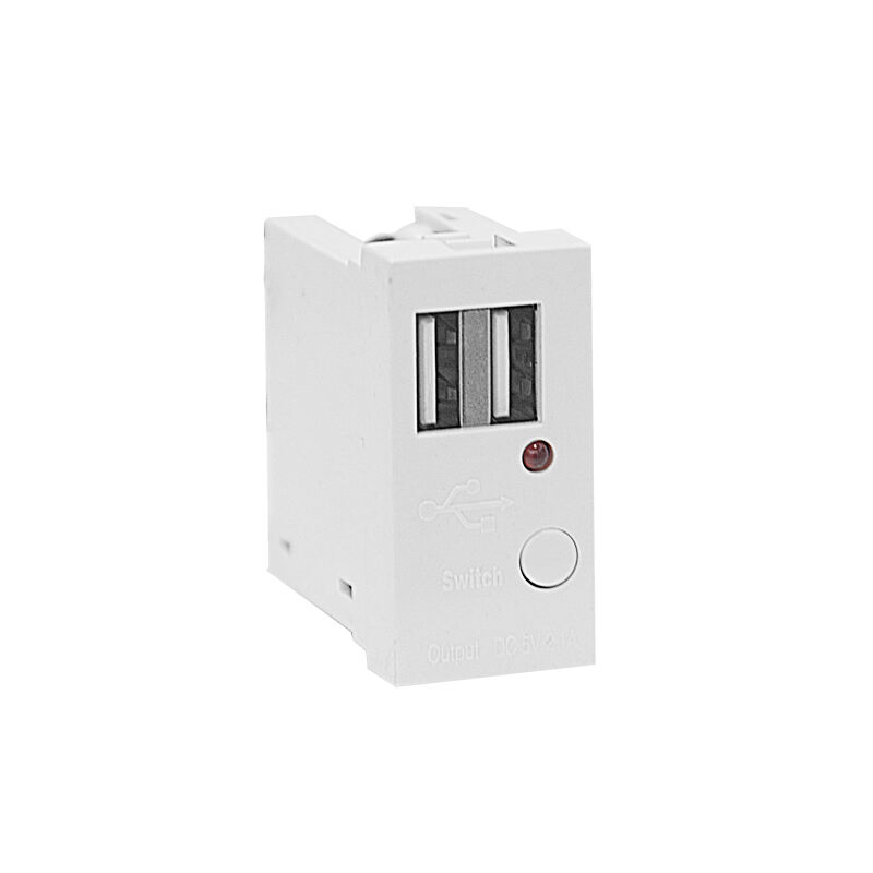Modulair Soket Dubbele Poort Type A+A 10.5W (totaal) USB Oplader F21-C