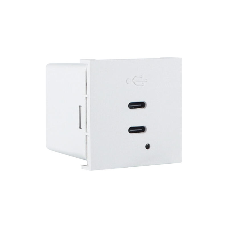 65W Dubbele Port Type C+C met PD Modulaire USB Oplader Socket F21-QC8