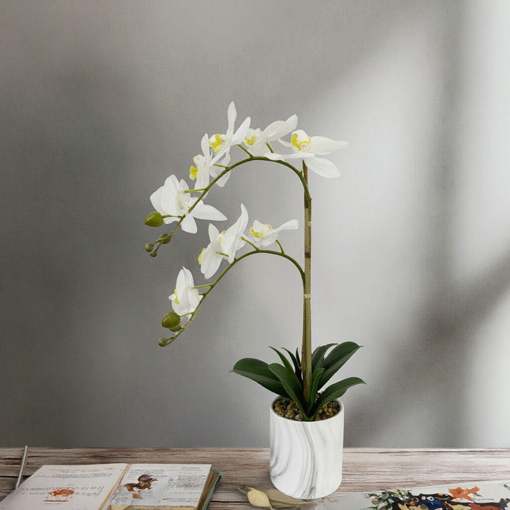 Wholesale Decorative Orchid Bonsai