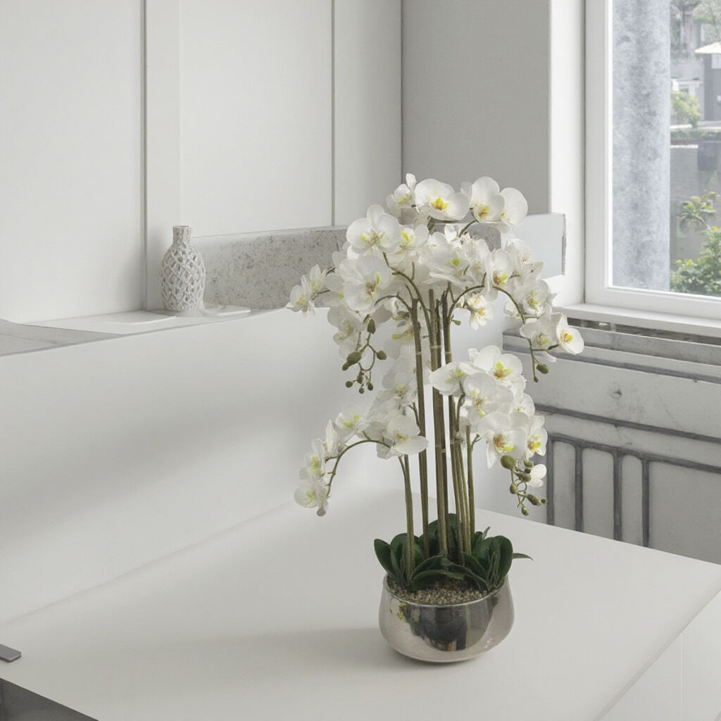Elegance Orchid's Flower with Pot