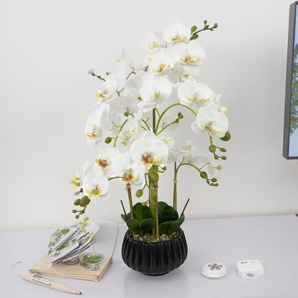 Modern White Orchid Floral Arrangement