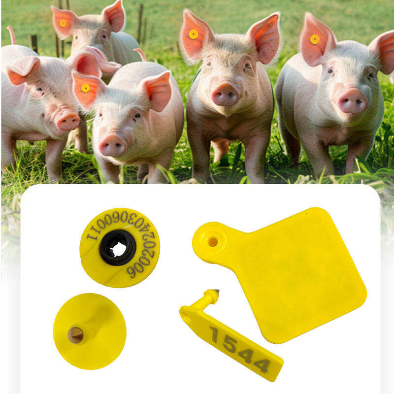 Common Issues in RFID Tagging for Cattle and How to Solve Them