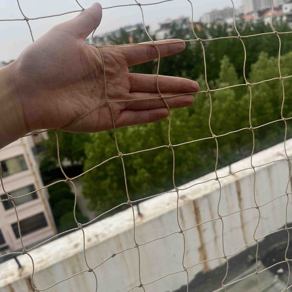 场景图.jpg