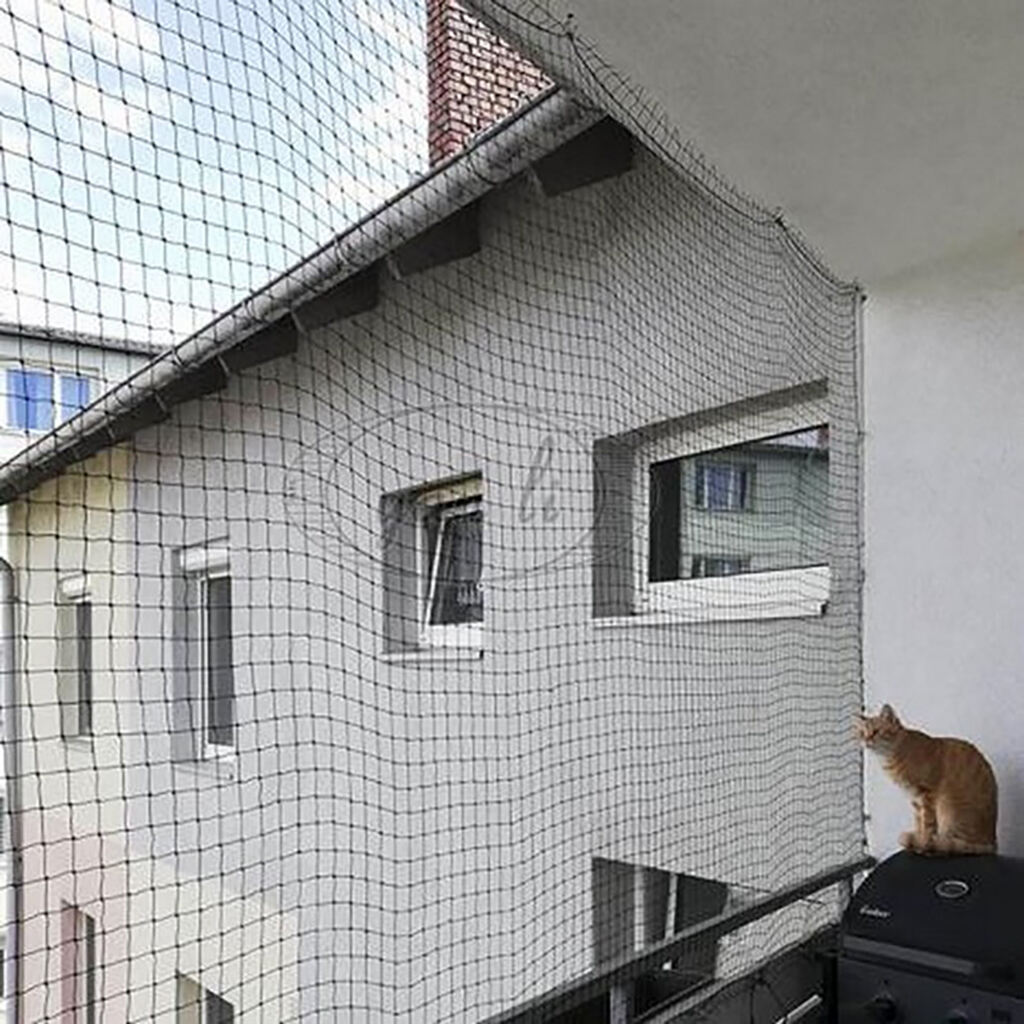 场景图.jpg