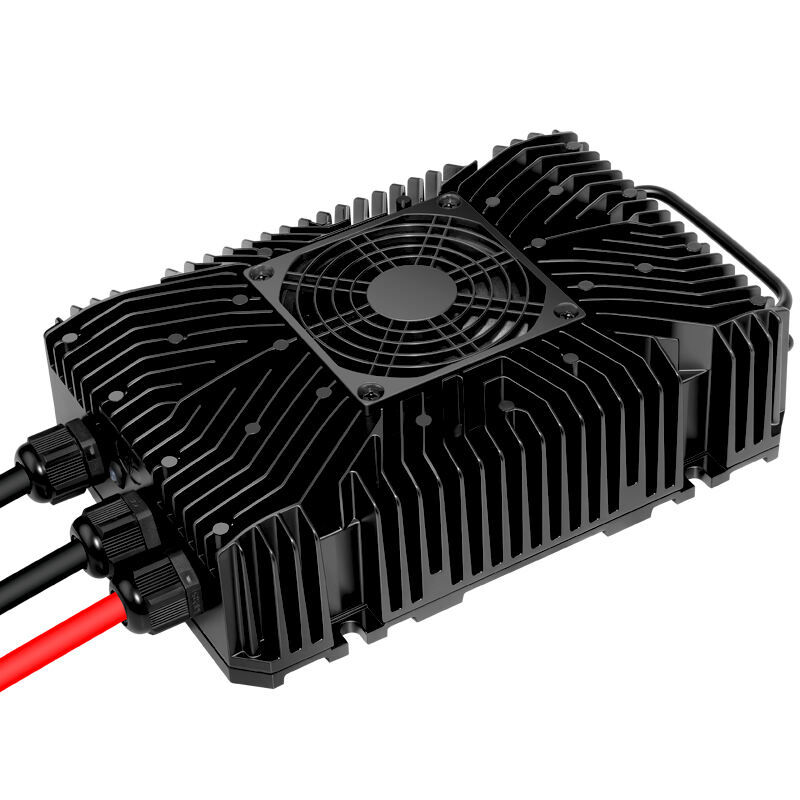 AGM LiFePO4 Lityum Pil için Denizcilik 12V 24V 36V 48V 1000W AC'den DC'ye Pil Şarj Cihazı CE RoHS