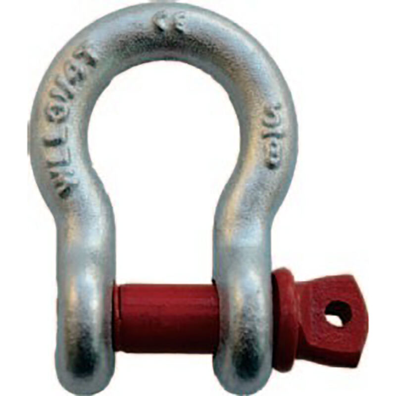 U.S. TYPE DROP FORGED G-209 SCREW PIN ANCHOR SHACKLE