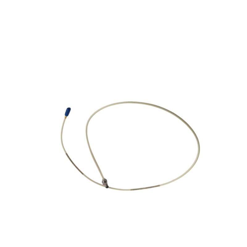 21504-00-40-10-02  Standard Mount Probe  