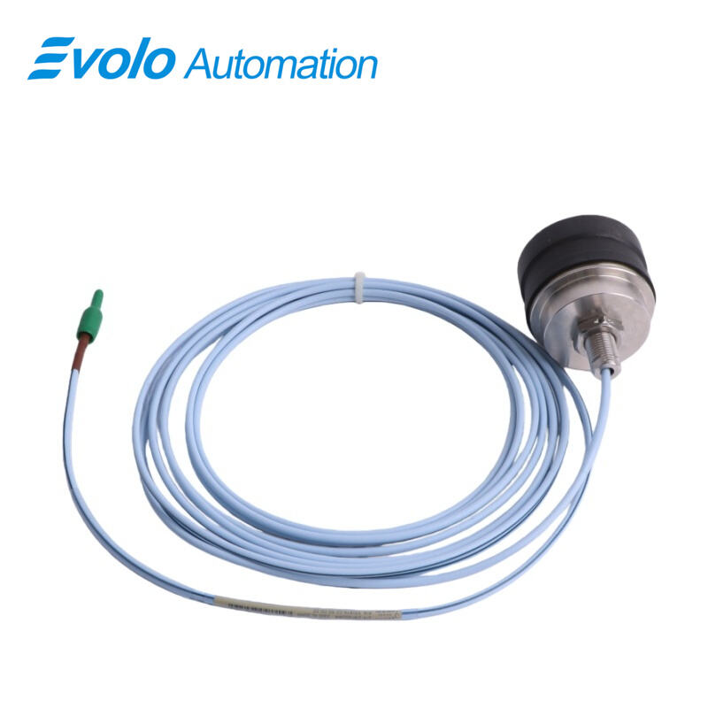 330876-02-50-00-00	3300 XL 50 mm Proximity Probe 