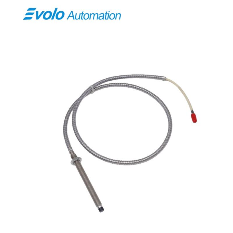 22810-00-05-10-02  SENSOR PROBE