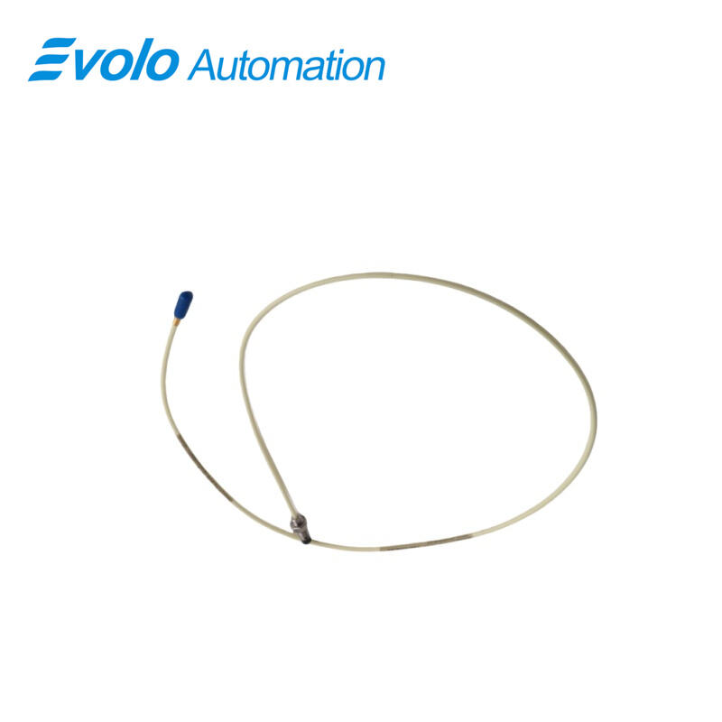 21504-12-28-10-02  Standard Mount Probe 