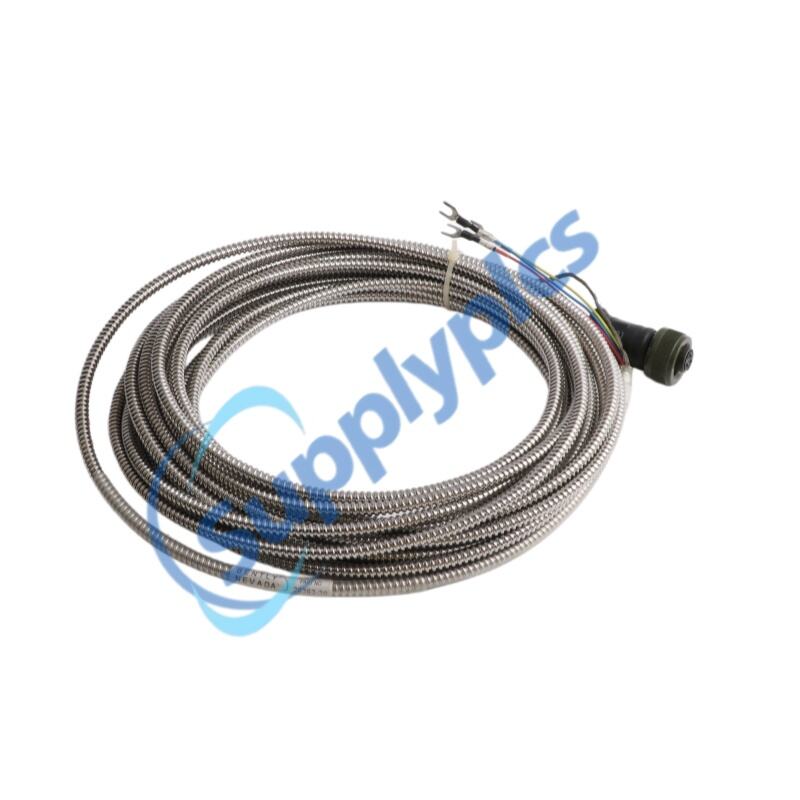 Bently Nevada 26363-30 Proksimitor / Giriş-Çıxış Modulu Göndərilməyə Hazırdır