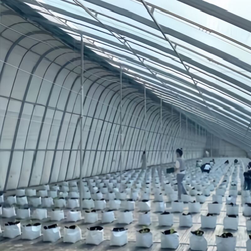 Solar Greenhouse