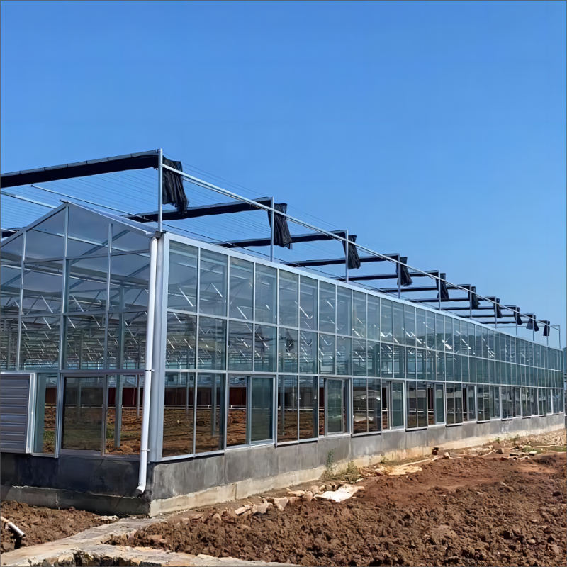 Optimal Yetişme Koşulları İçin Gelişmiş İklim Kontrol Teknolojisi