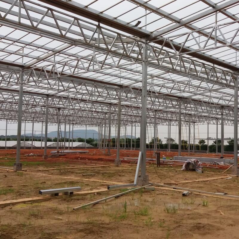 Steril Yetişme Ortamı Koruması