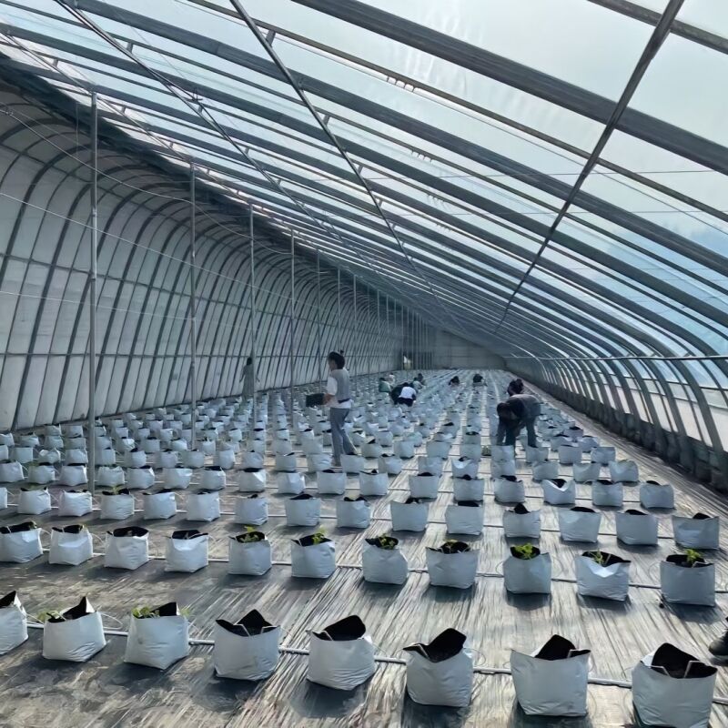 Dayanıklı Yapı ve Düşük Bakım Gereksinimleri