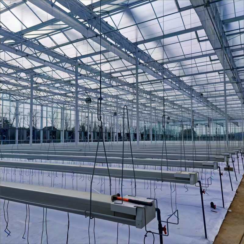 Advanced Weather Protection and Climate Control Systems