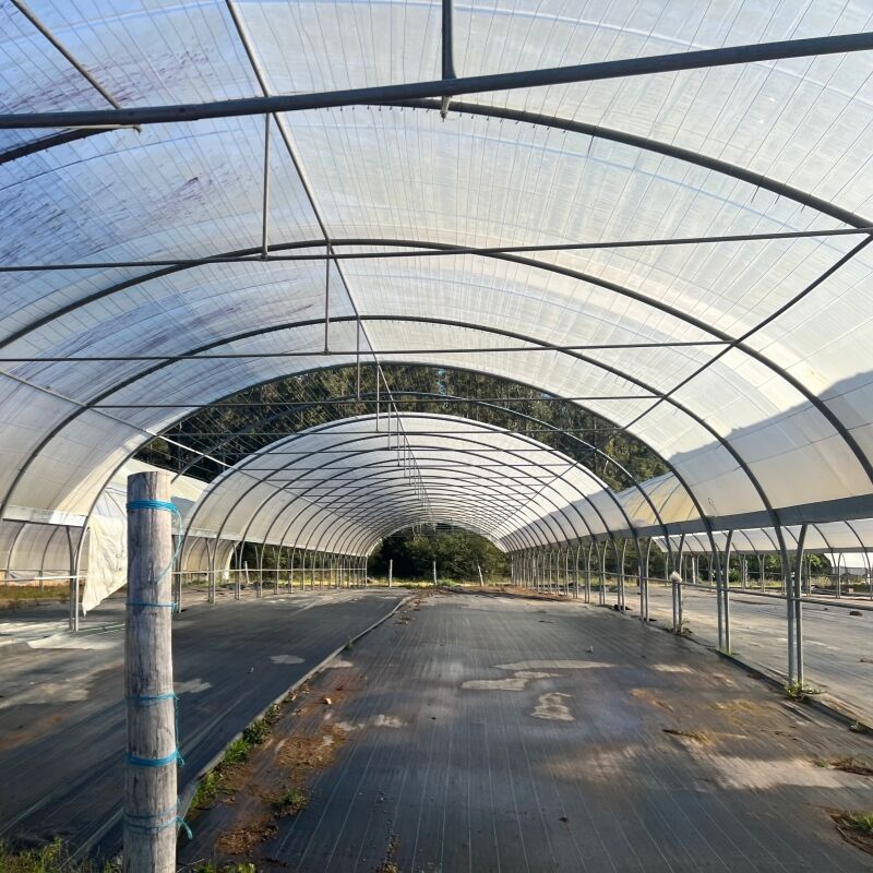 Enerji Verimli LED Yetiştirme Sistemleri