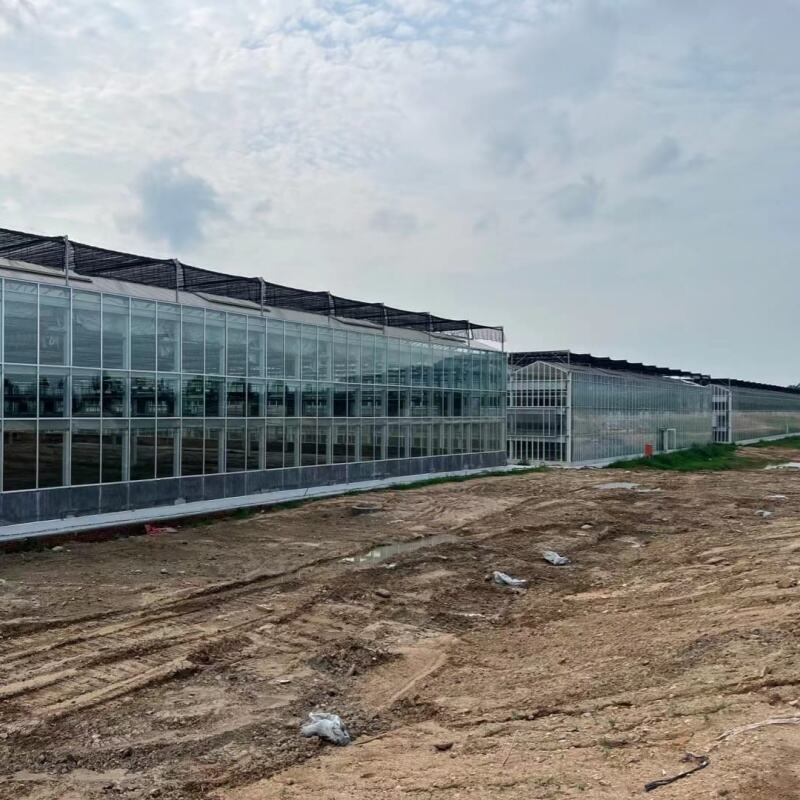 Yıl Boyu Üretim Kapasitesi ve Ekonomik Faydalar