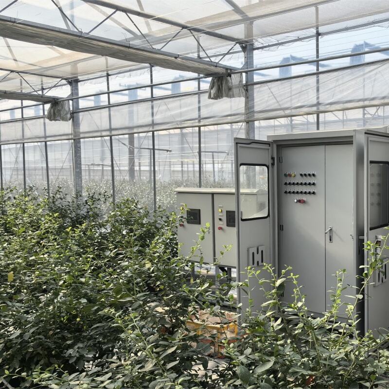 Արժեքային գյուղատնտեսական լուծում՝ արագ վերադարձի ներդրումների վրա