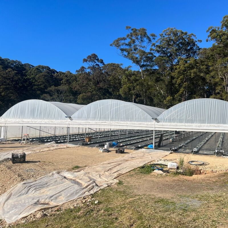 Superior Plant Protection and Pest Management