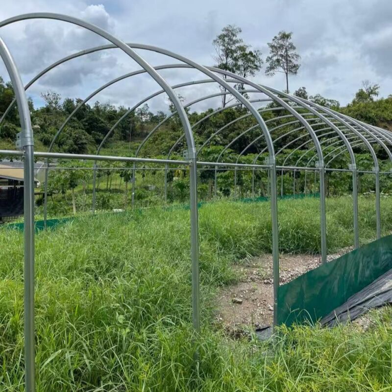 Olağanüstü Yapısal Dayanıklılık ve Hava Koşullarına Direnç