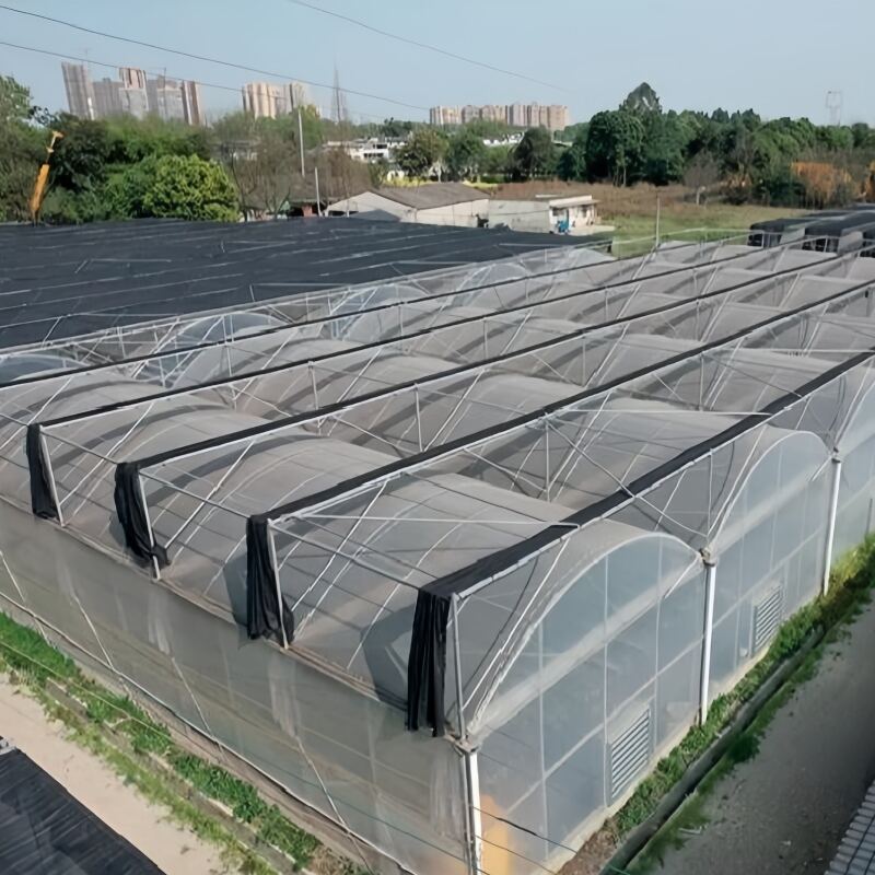 Film Multi-Span Greenhouse