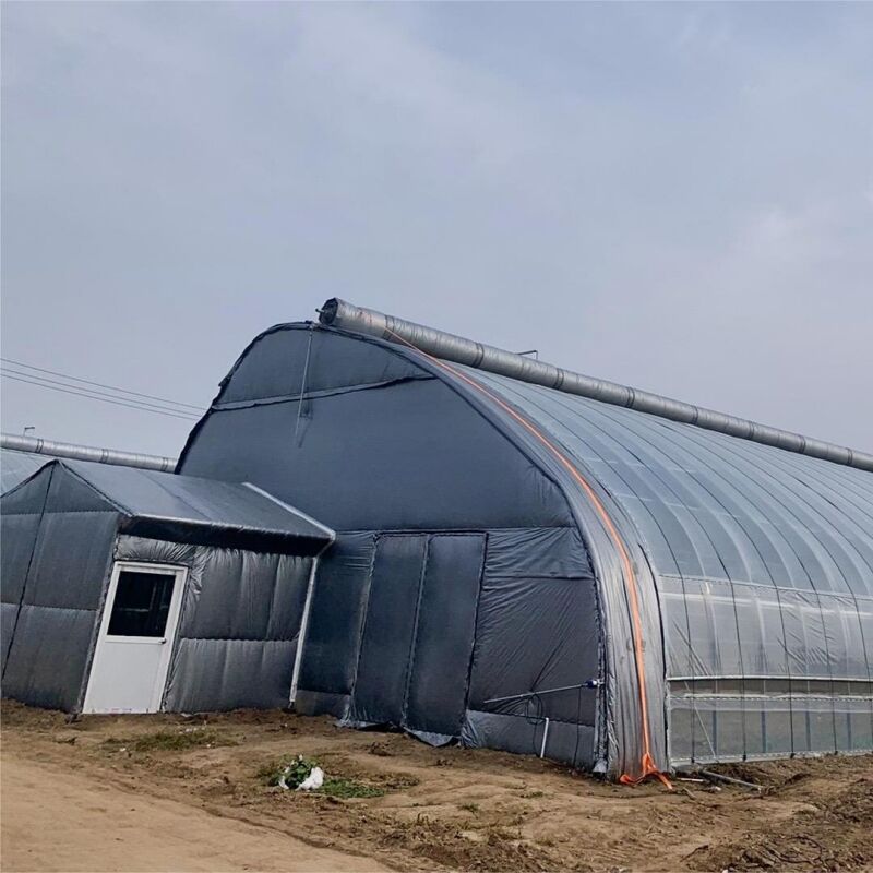 Ավանդական UV պաշտպանության տեխնոլոգիա