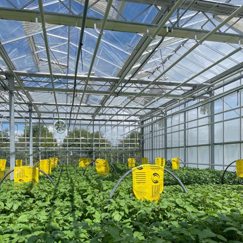 Comprehensive Support Services and Long-term Partnership Benefits