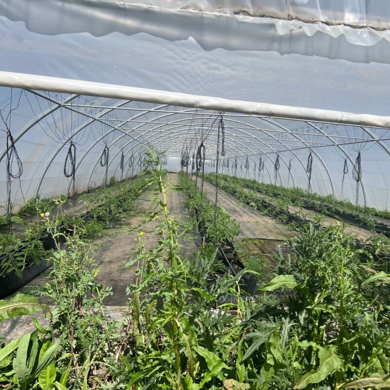 Advanced UV Protection Technology