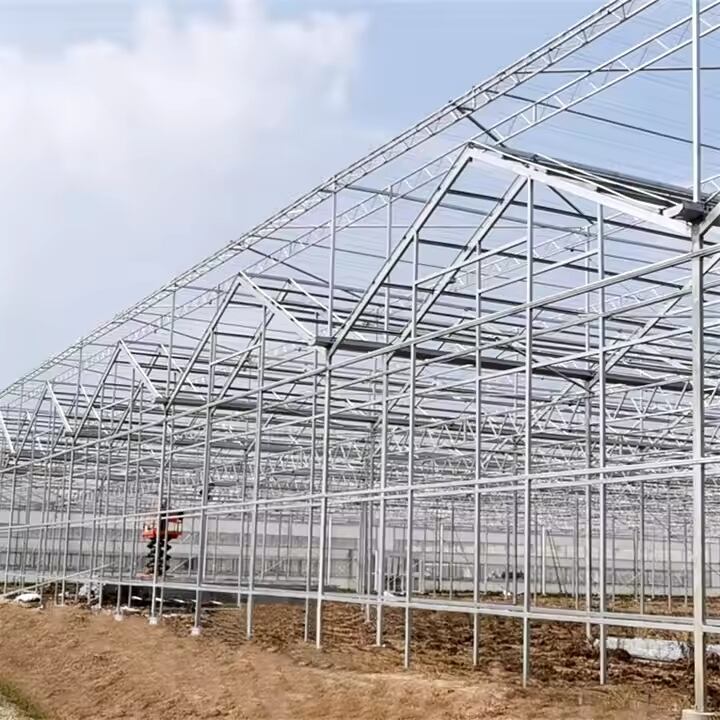 Multi-Span Glass Greenhouse