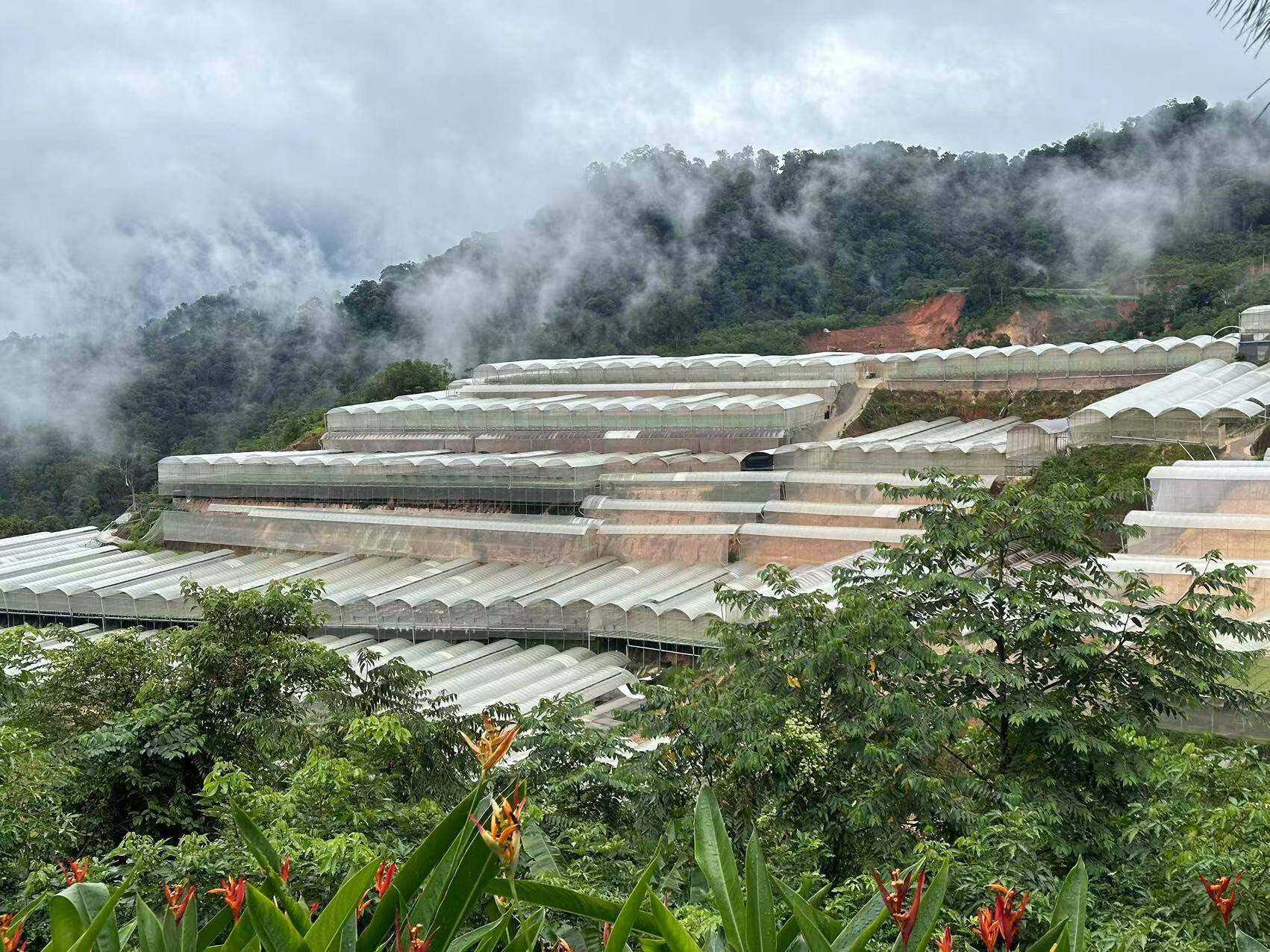  Innovative Breakthrough: Our Company Successfully Delivers World's First Customized 