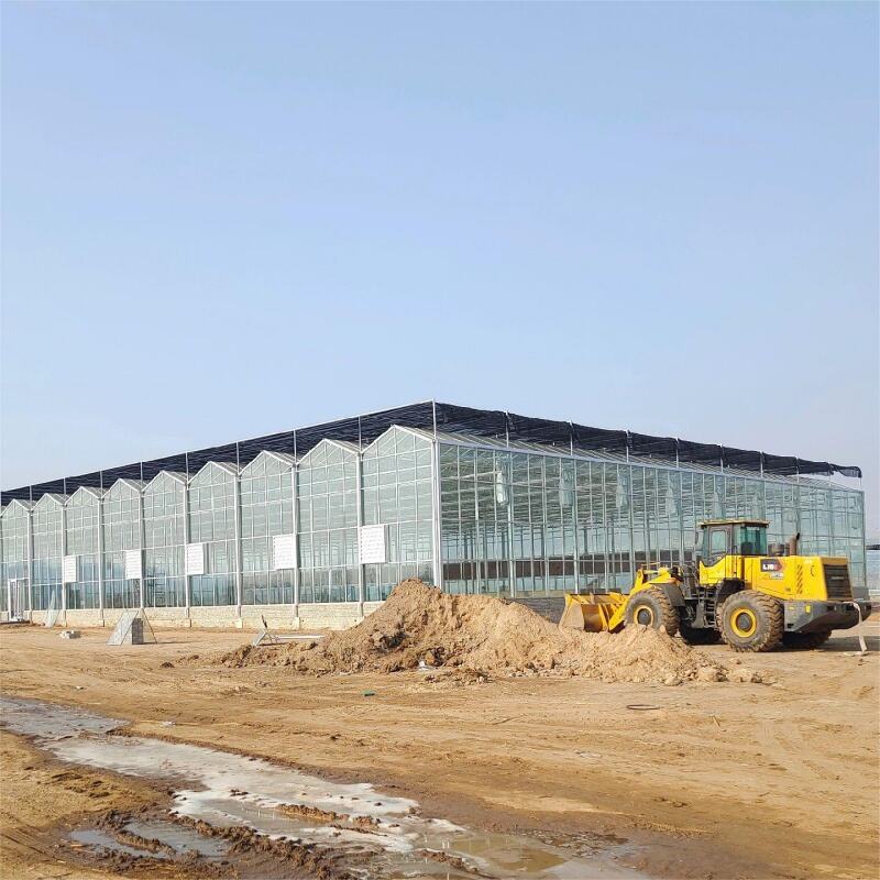 Բարելավված մշակաբույսերի արտադրություն և որակի վերահսկում