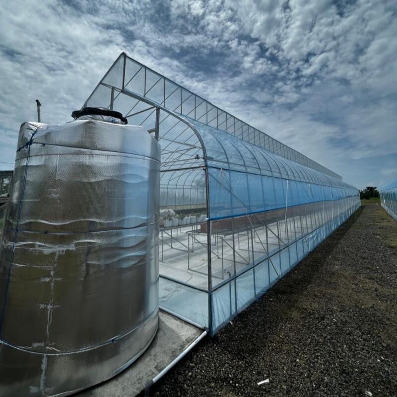 Advanced Climate Control Systems for Optimal Growing Conditions