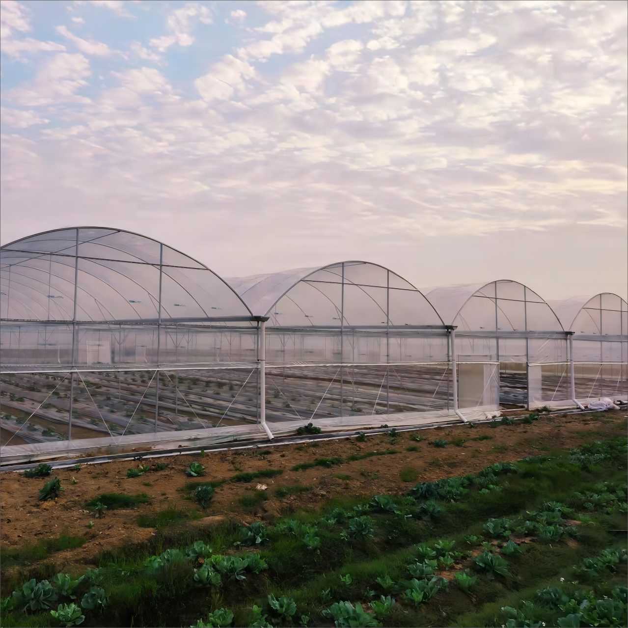 Բերքատվության և որակի բարձրացում