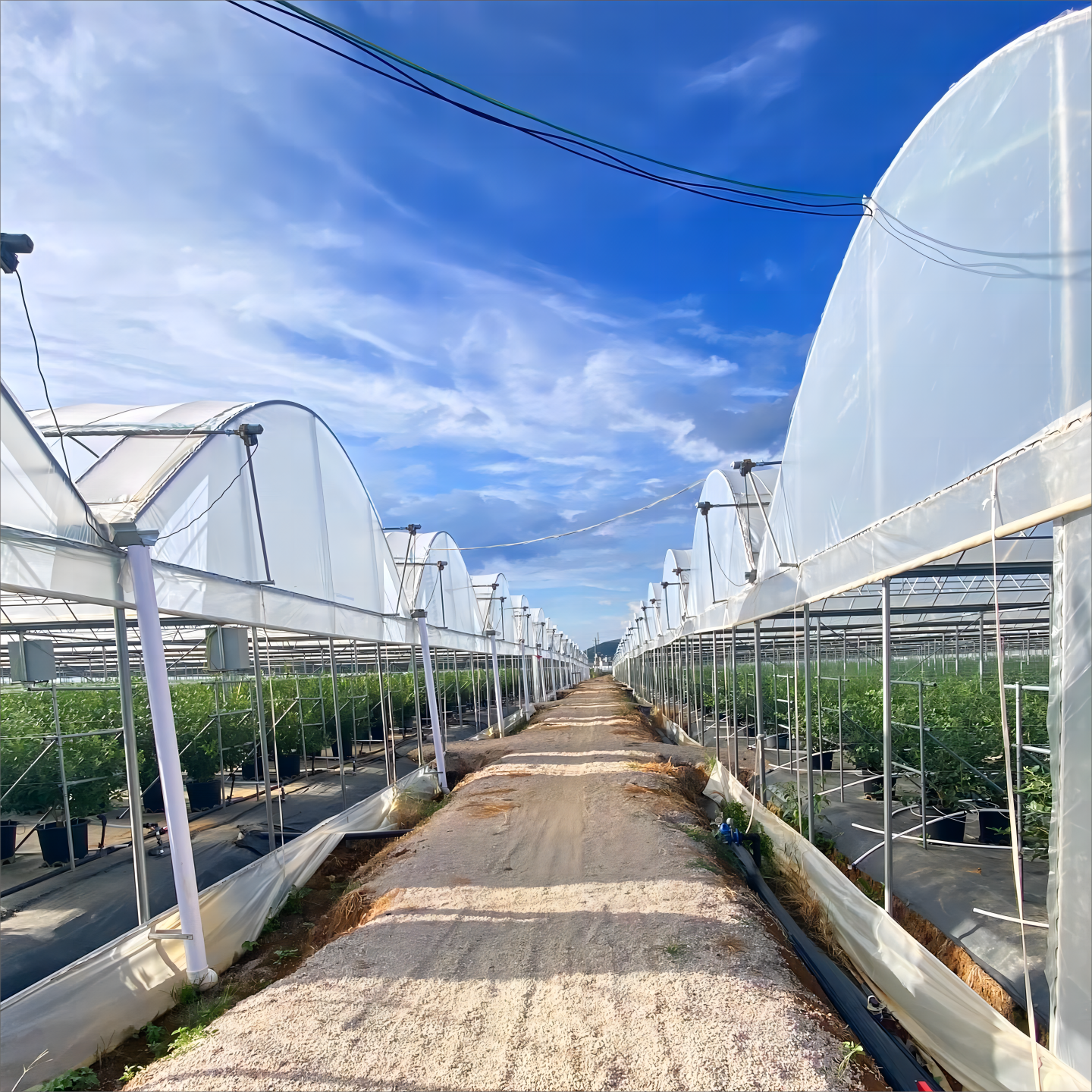 Durable Construction Materials Deliver Long-Term Performance and Value