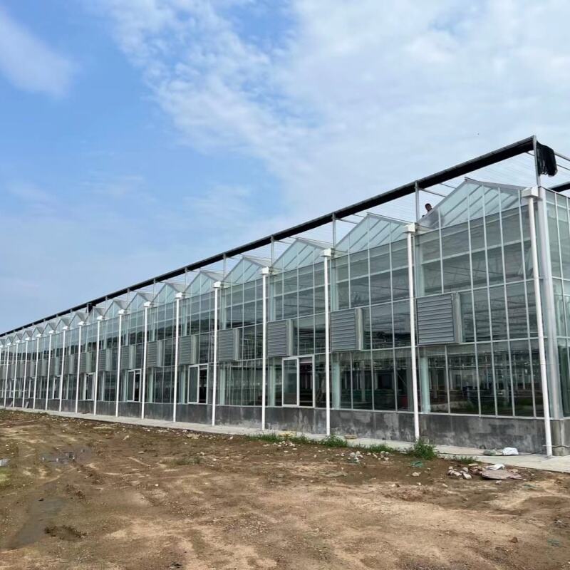 Դուրս գալիս կառուցում և նյութեր