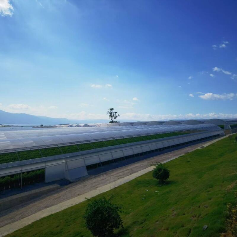 Dayanıklı Yapı ve Hava Koşullarına Dayanıklılık