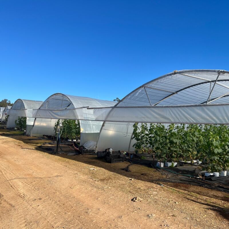 Գերազանց կոռոզիայի դիմադրություն և տևականություն