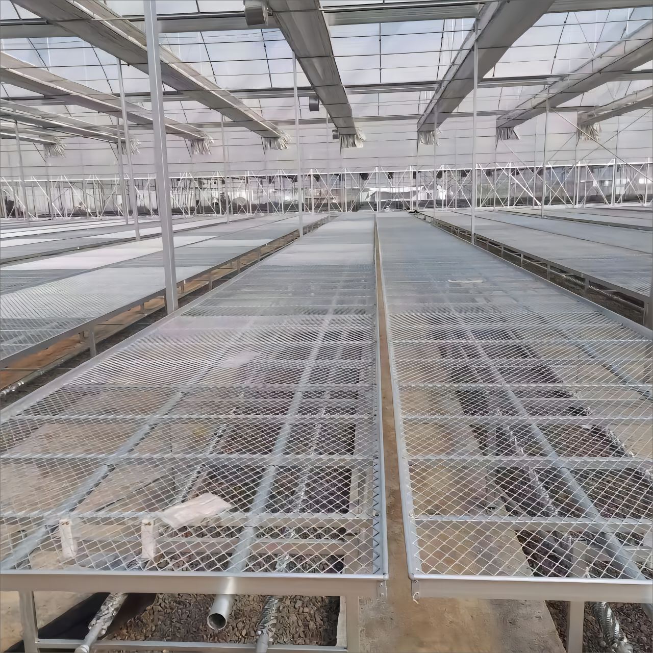 Վերահսկիչ կառուցվածքային ամբողջականություն և երկարատևություն