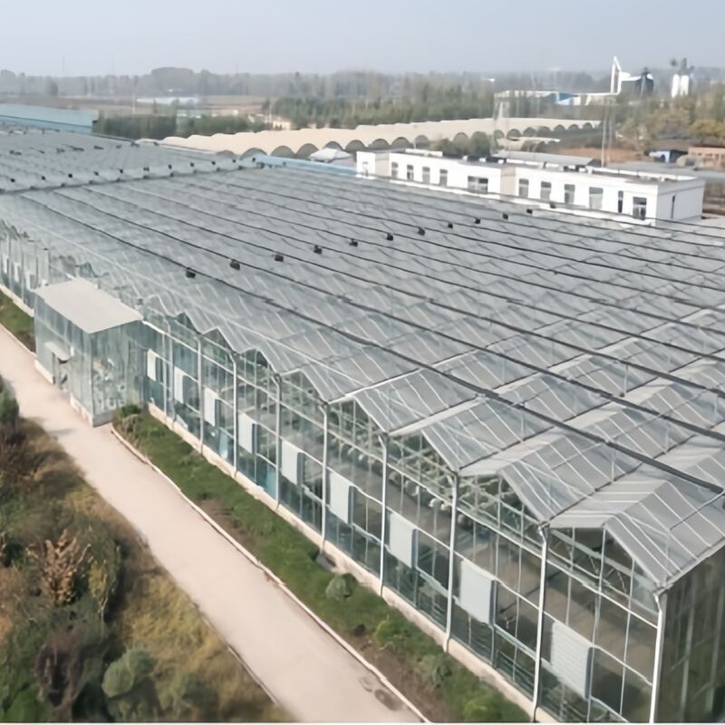 Glass Multi-Span Greenhouse