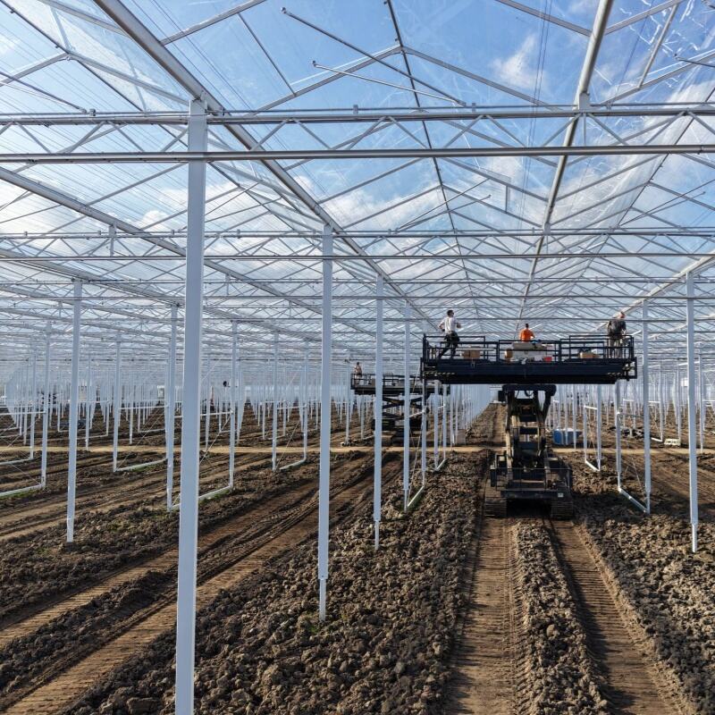 Olağanüstü Çok Yönlülük ve Ölçeklenebilirlik Özellikleri