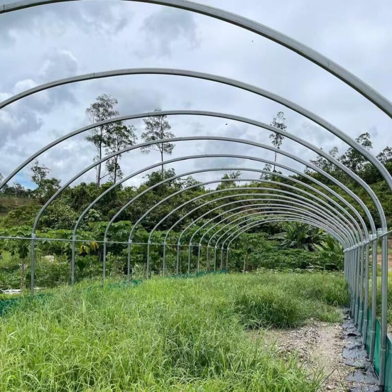 Year-Round Growing Capability and Productivity