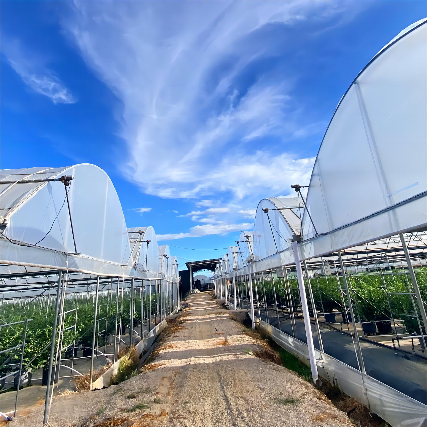 Integrated Water Management Technology