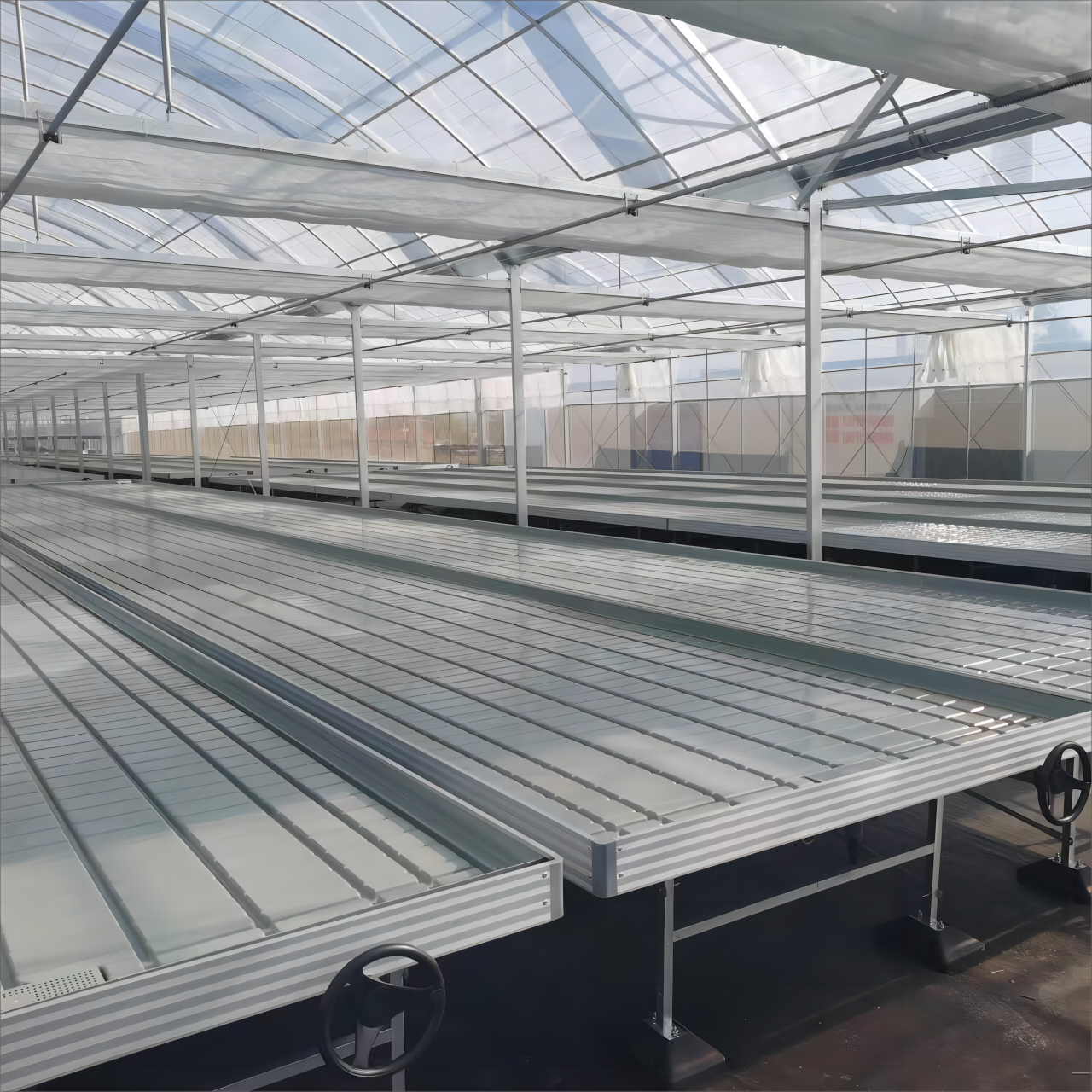 Üstün Bitki Kalitesi ve Daha Hızlı Gelişme Oranları