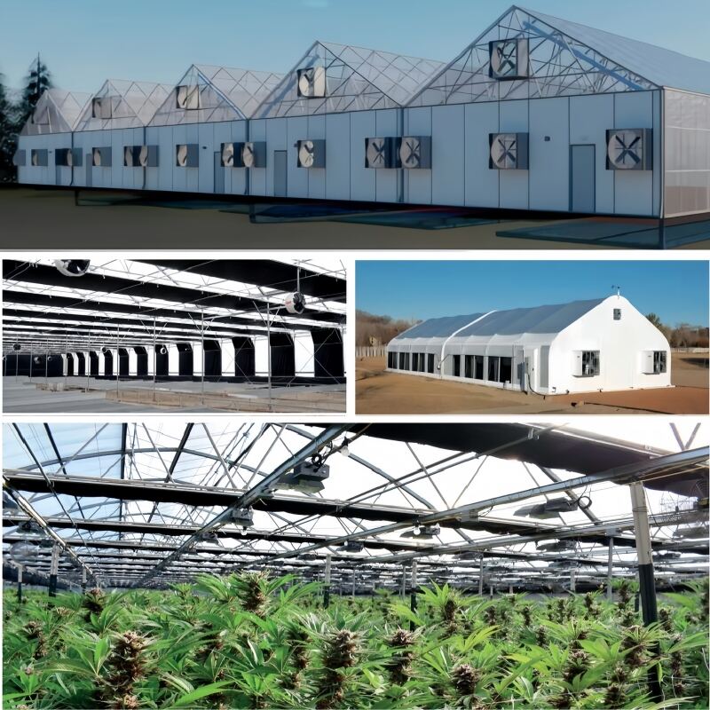 Light Deprivation Greenhouse