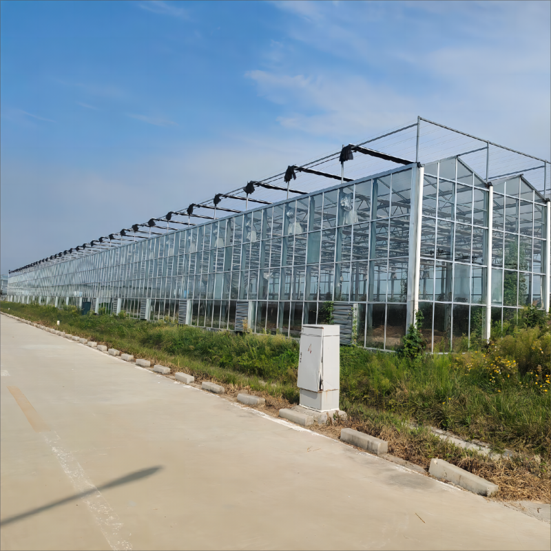 Sustainable Growing Solutions and Resource Efficiency