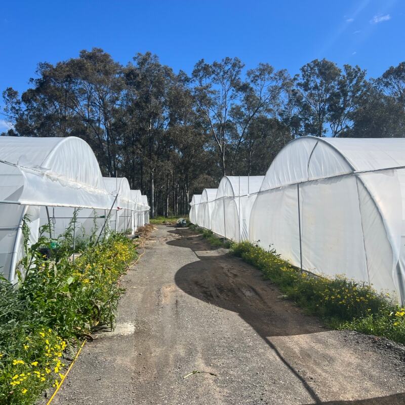 Բարձր կառուցվածքային ամրություն և եղանակային դիմացկունություն